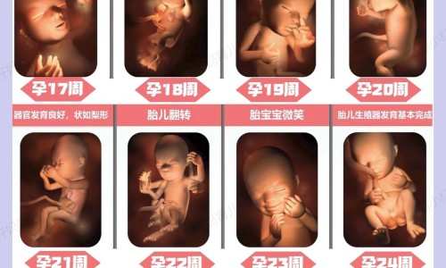 24小时后出现食物中毒网- 食物24小时还能吃吗知识,分享24小时后出现食物中毒怎么办