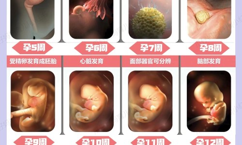 24小时后出现食物中毒网- 食物24小时还能吃吗知识,分享24小时后出现食物中毒怎么办